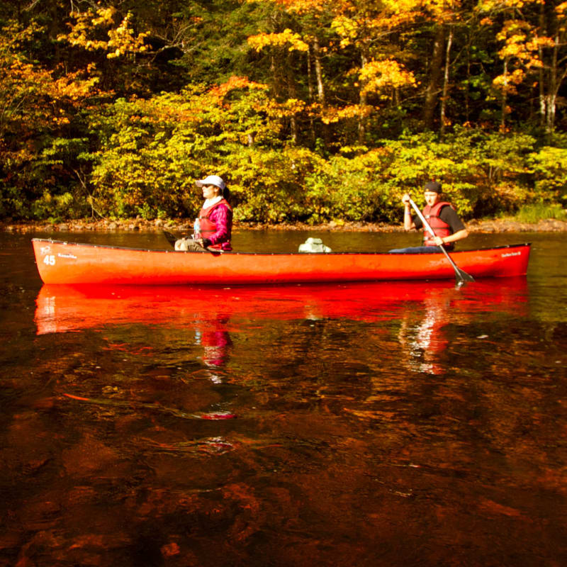 Perfect activities for a colourful fall with Quebec Adventure Outdoor - Calm water canoe trip