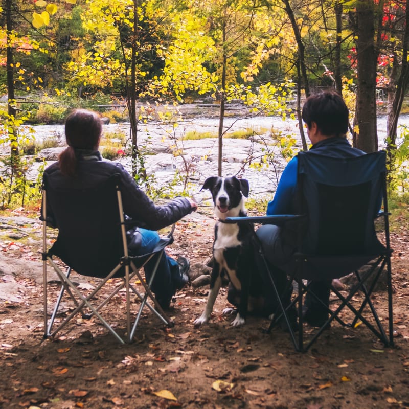 Perfect activities for a colourful fall with Quebec Adventure Outdoor - Relaxing with a dog in front of the river in autumn, Parc de la rivière Batiscan