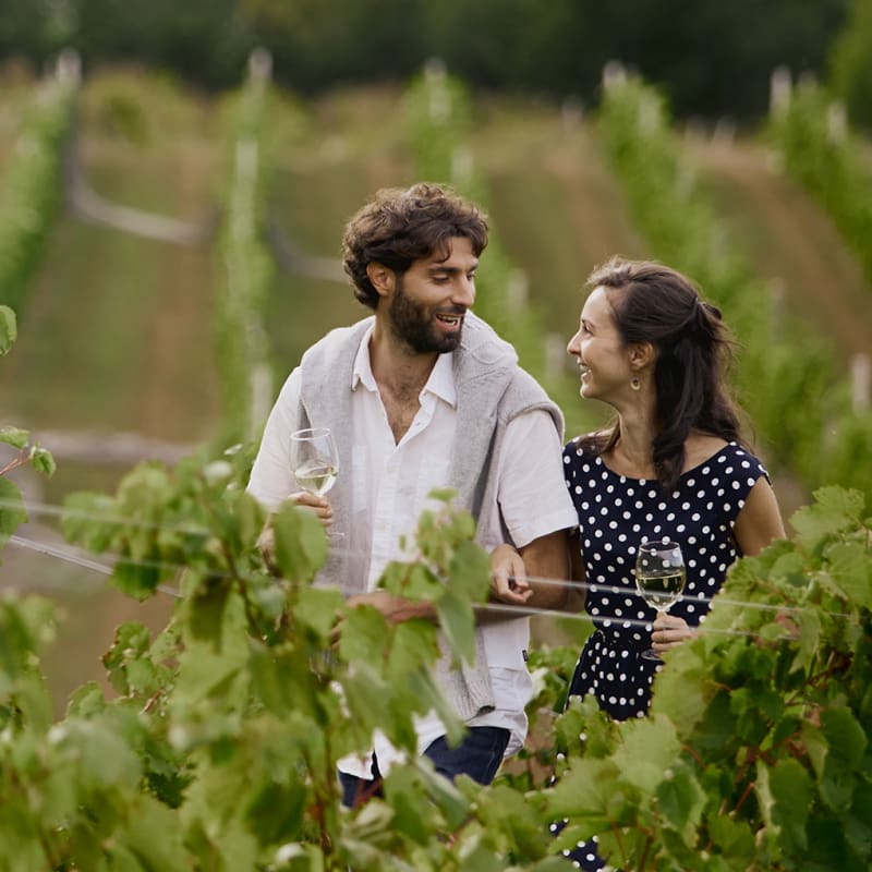  La Route des vins Brome-Missisquoi - Promenade dans un vignoble