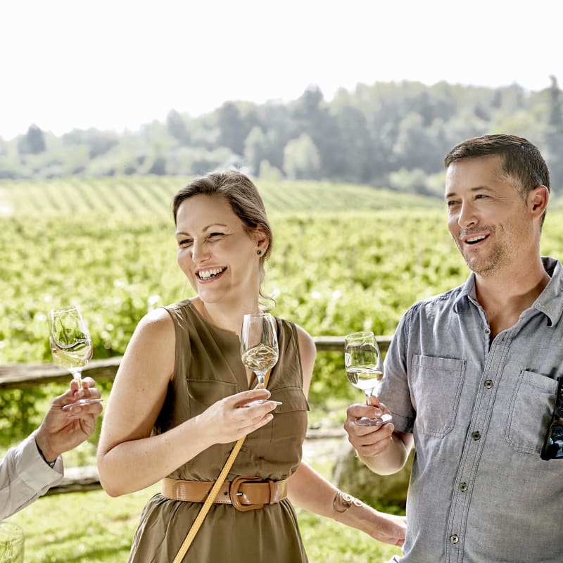  La Route des vins Brome-Missisquoi - Dégustation de vins