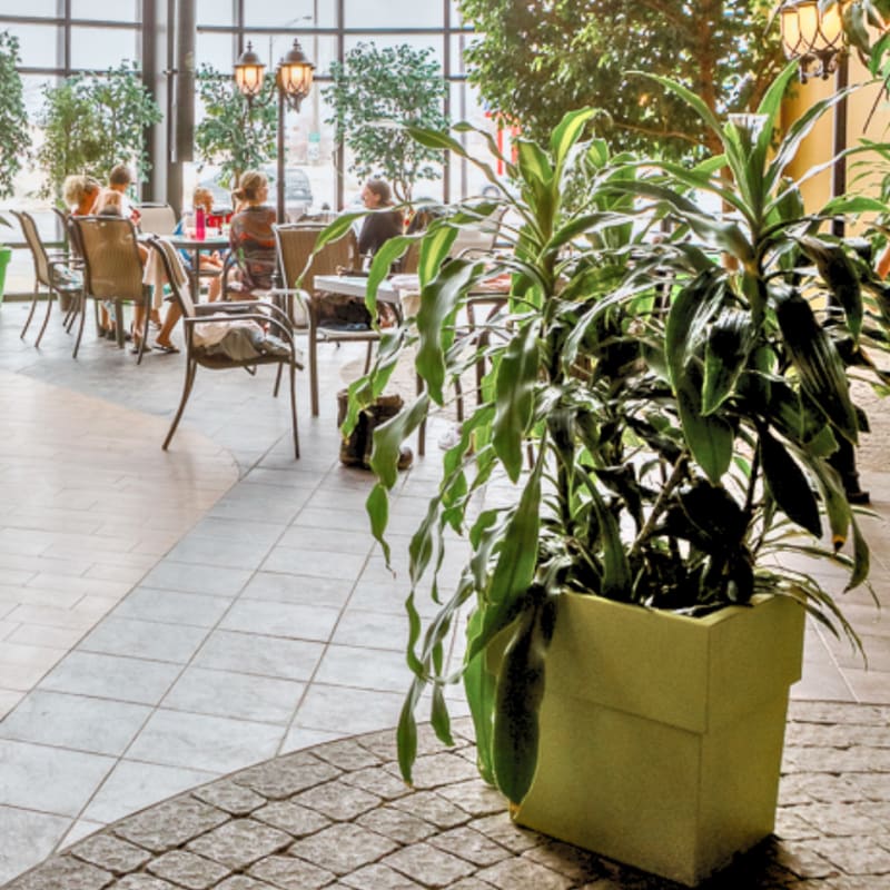 Enjoy a Magical Winter in Québec City - Hôtel Ambassadeur