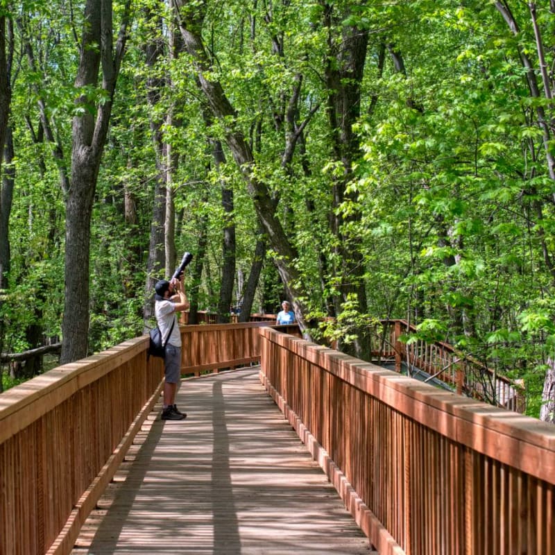 Discover what makes Nicolet-Yamaska such a rich region - Parc Écomaritime de l'Anse-du-Port