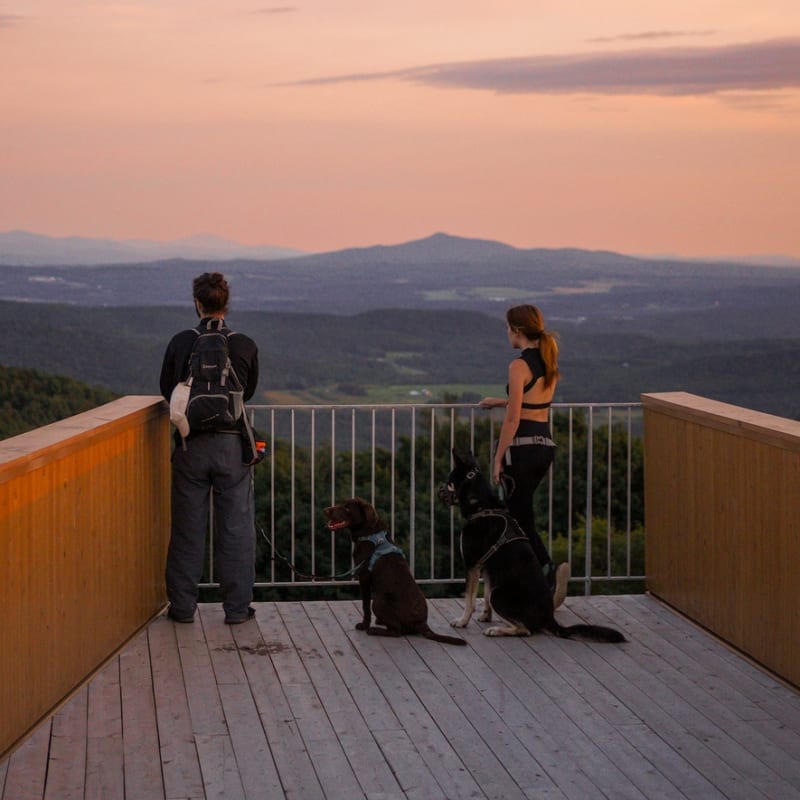 The 8 best dog-friendly hotels for summer vacations in Quebec - Hôtel Château-Bromont (Eastern Townships)