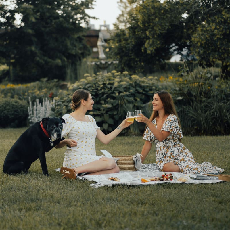 The 8 best dog-friendly hotels for summer vacations in Quebec - Auberge des Gallant (Montérégie)