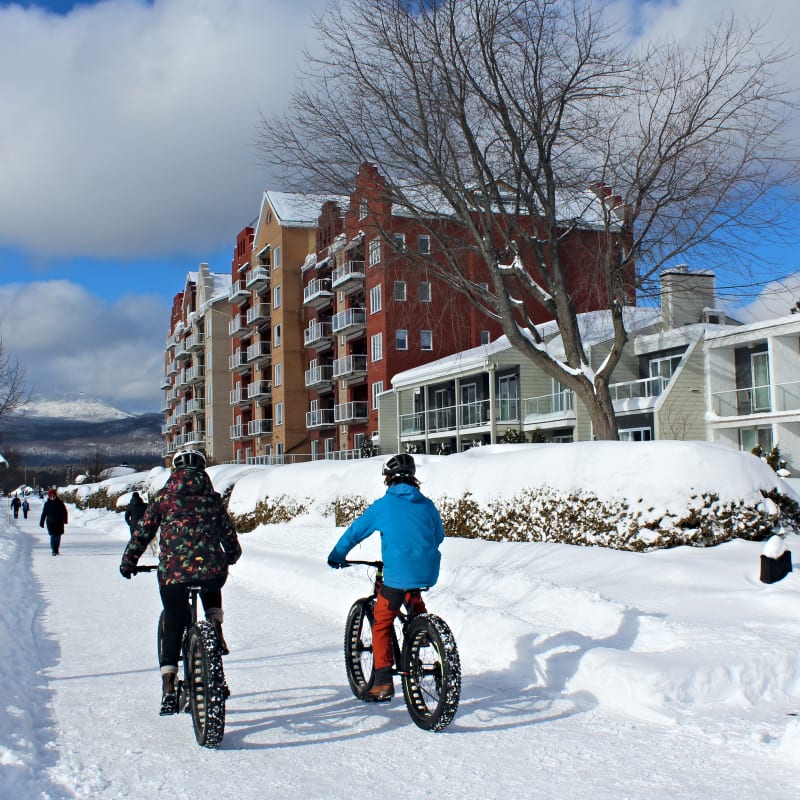 Winter with PAL+ | Touristic Experiences - Fatbike trail next to the hotel