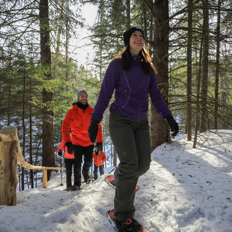 Escape this winter in Petite Nation, between Montreal and Gatineau/Ottawa
