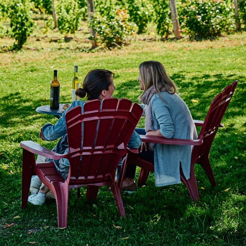 Brome-Missisquoi: one region, a thousand things to do - Wine tasting in the vineyard, Brome-Missisquoi Wine Route