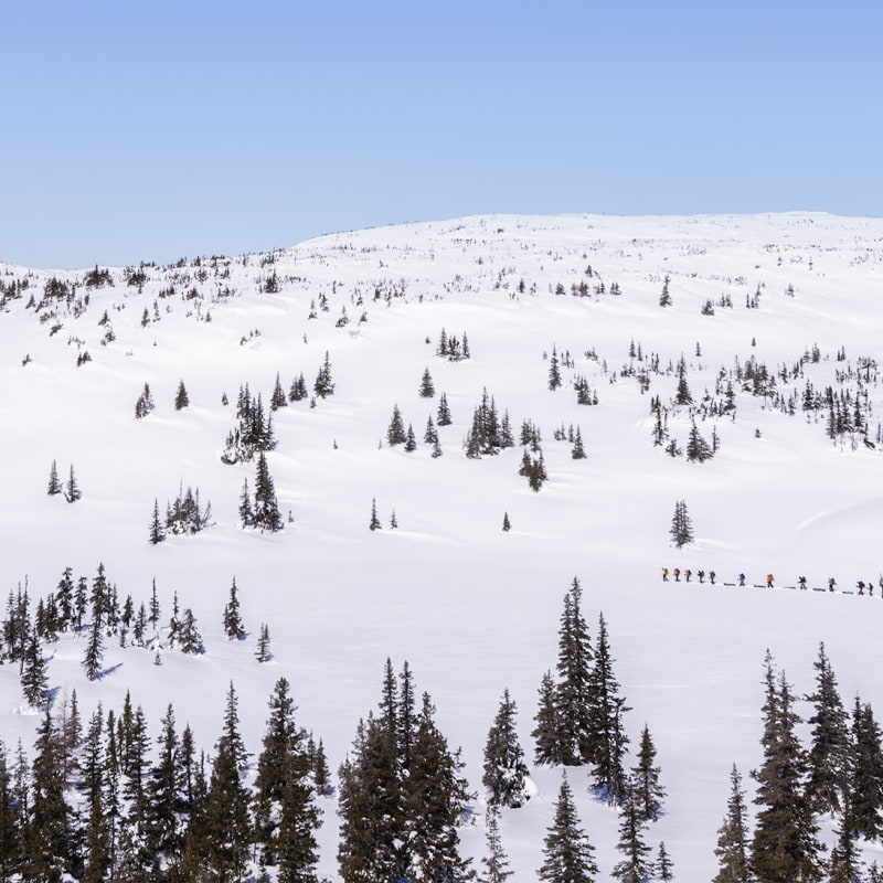Hit the road and discover your Côte-Nord this winter! - Station Uapishka