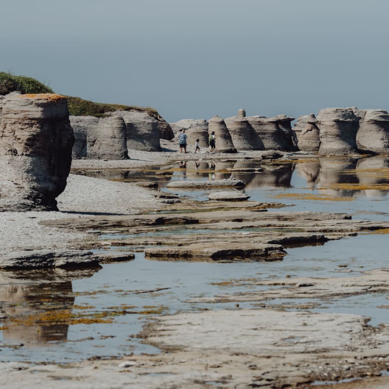 Discover Côte-Nord your way - Archipel de Mingan