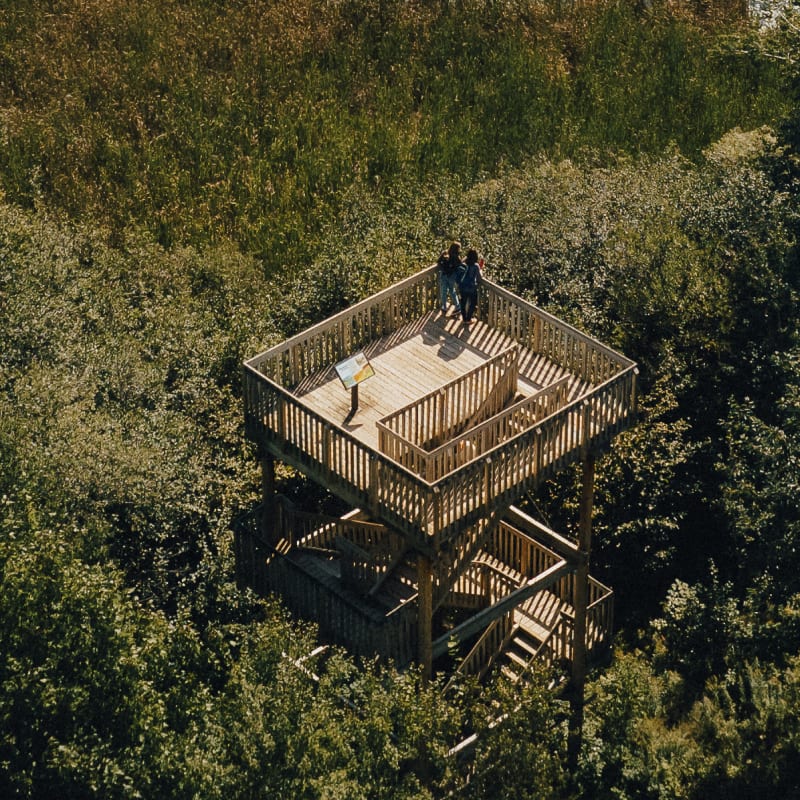 Discover all you can do in Granby! - Centre d’interprétation de la nature du lac Boivin