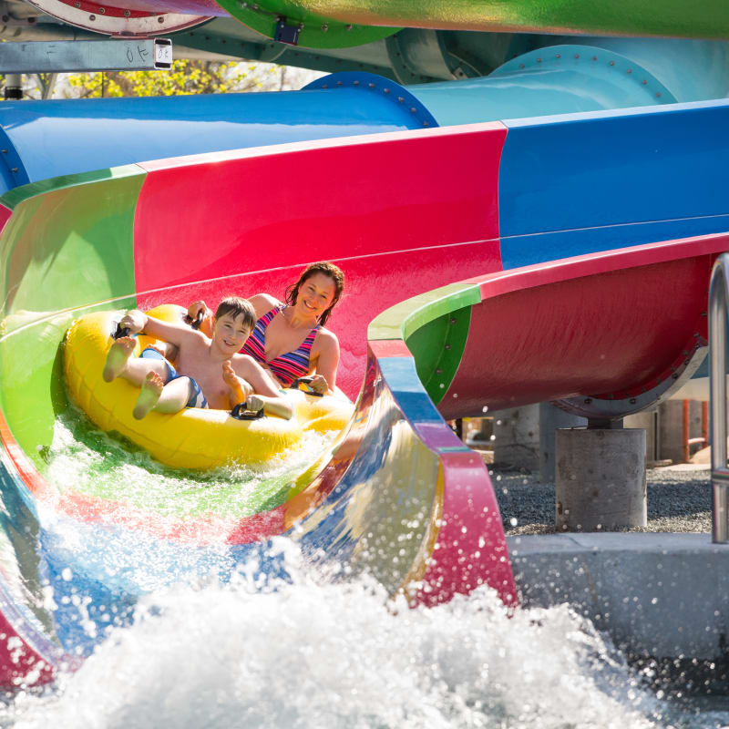 Discover all you can do in Granby! - Zoo de Granby