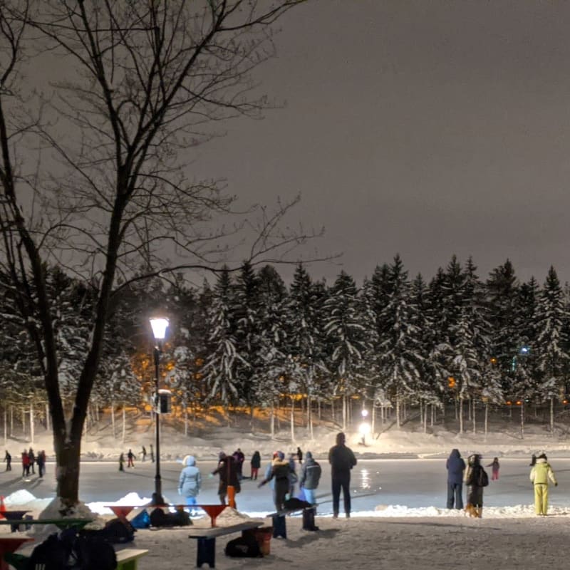 Discover Laval this winter!