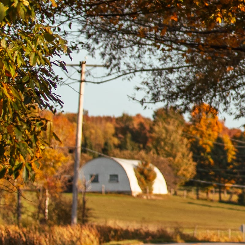 Profitez pleinement de l'automne dans Memphrémagog - Sous un pont de feuilles colorées