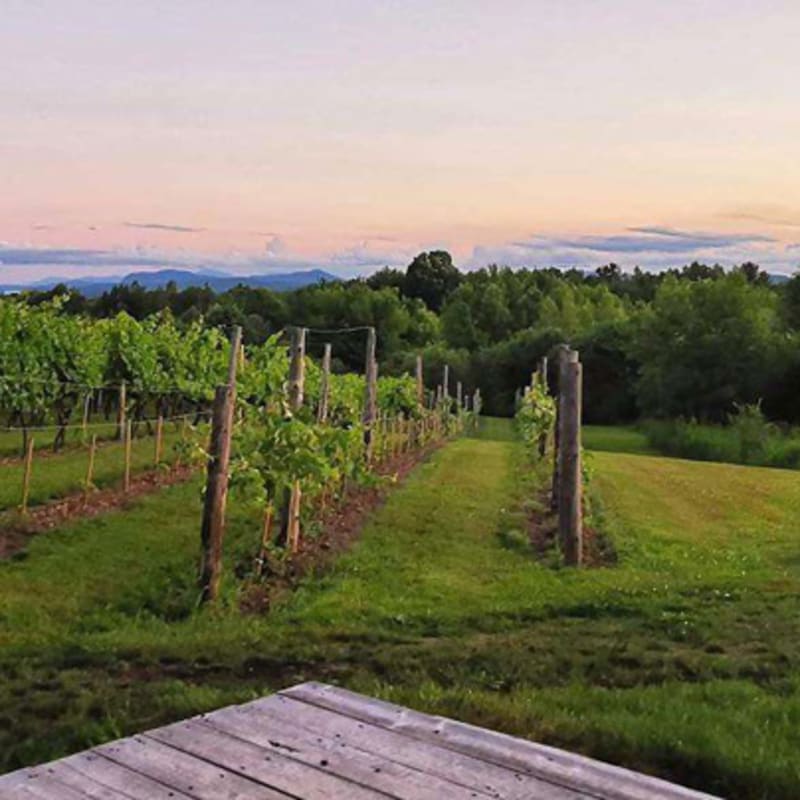 campagne_tourisme_memphremagog_ete_3_2023_1
