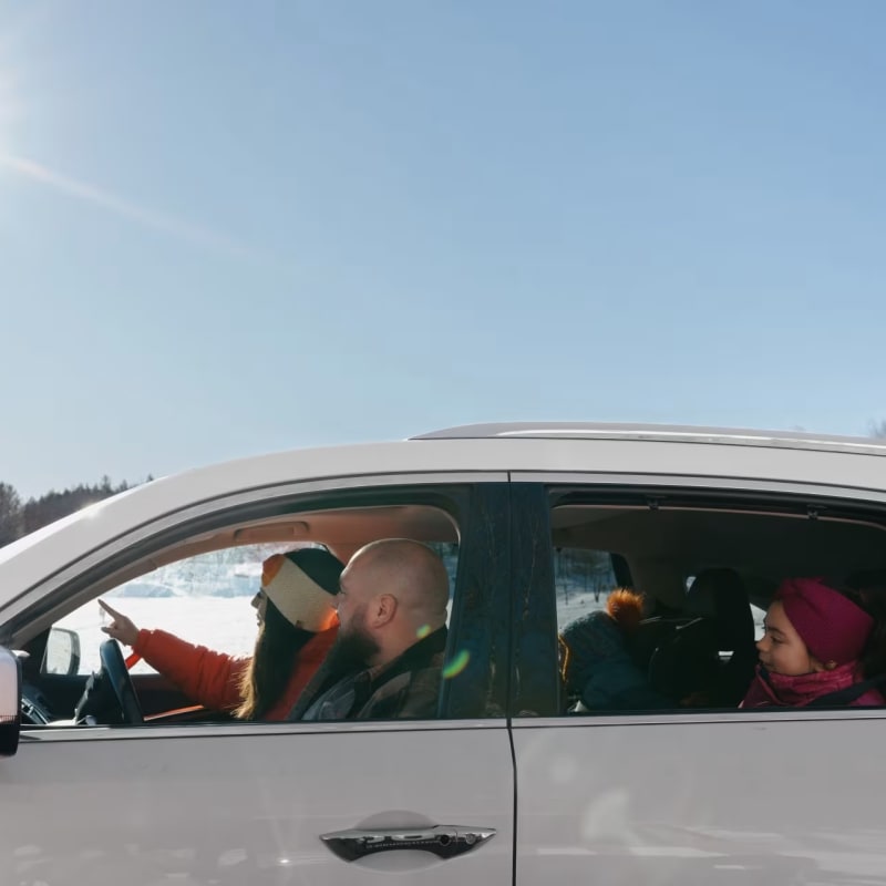 Discover Outaouais and its many areas with these must-sees! - Driving around to watch animals, Parc Omega