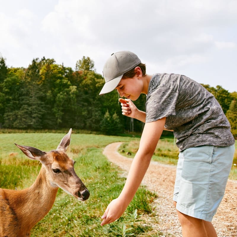 Discover all the areas of the Outaouais with these must-sees! - Parc Oméga