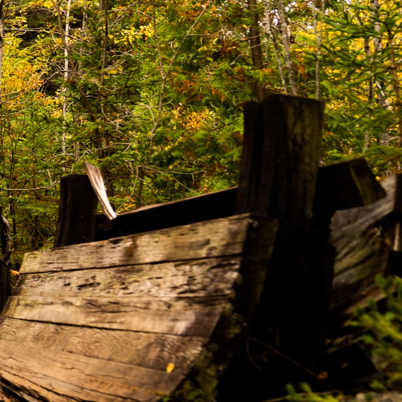 Unbeatable Portneuf! - Trail in autumn, Portneuf Regional Natural Park