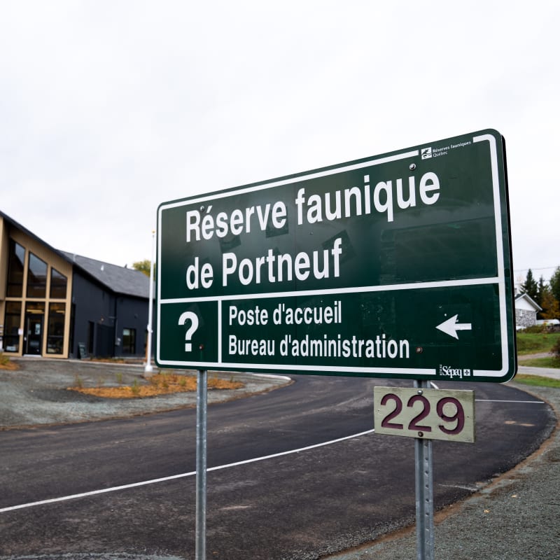 Unbeatable Portneuf! - Réserve faunique de Portneuf