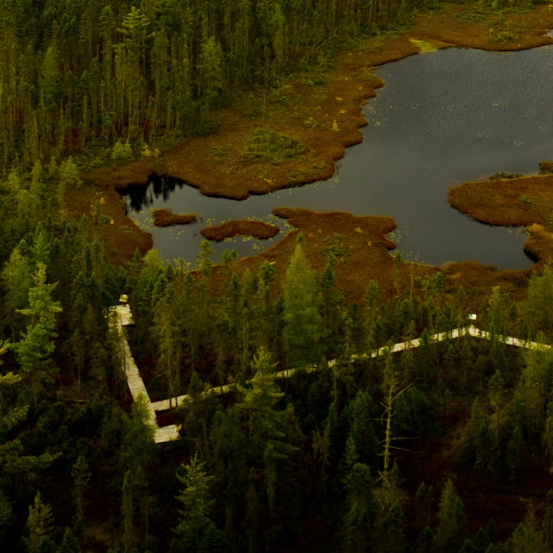 Unbeatable Portneuf! - Aerial view, Réserve naturelle du Marais-Léon-Provancher