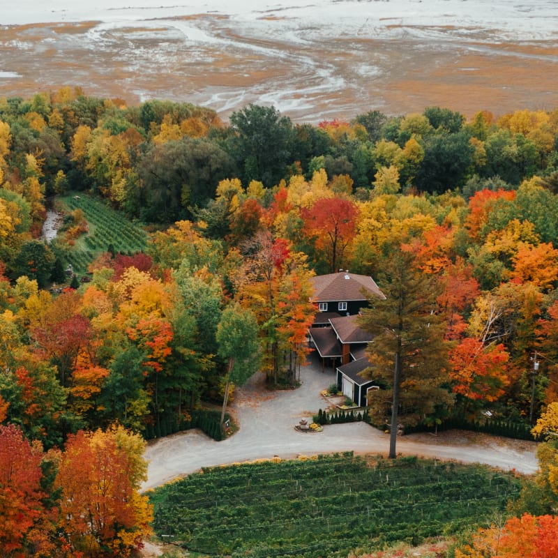 Unbeatable Portneuf! - Portneuf and its autumn colours