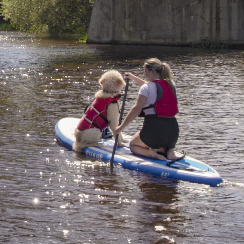 Your adventure begins in Saguenay–Lac-Saint-Jean - Paddleboarding on the river