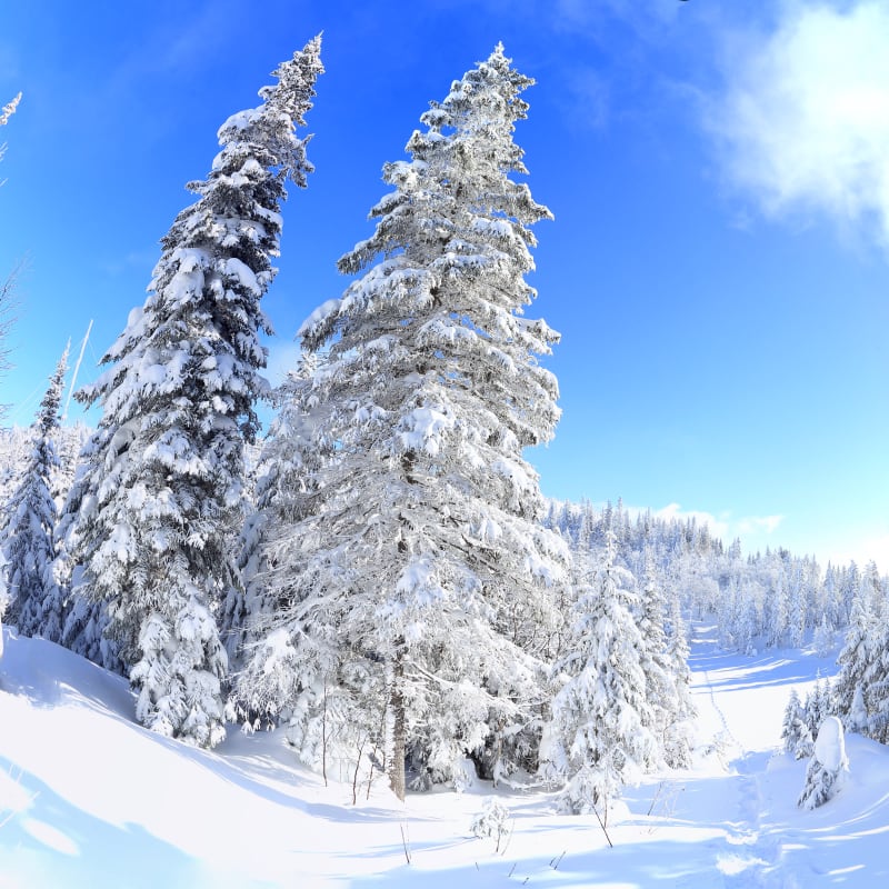 Winter fun in Saguenay–Lac-Saint-Jean - Parc national des Monts-Valin