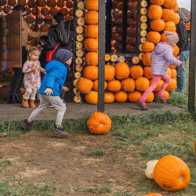 Vaudreuil-Soulanges in the fall: nature, agritourism and family fun - Children having fun near a house made of pumpkins, Citrouilleville