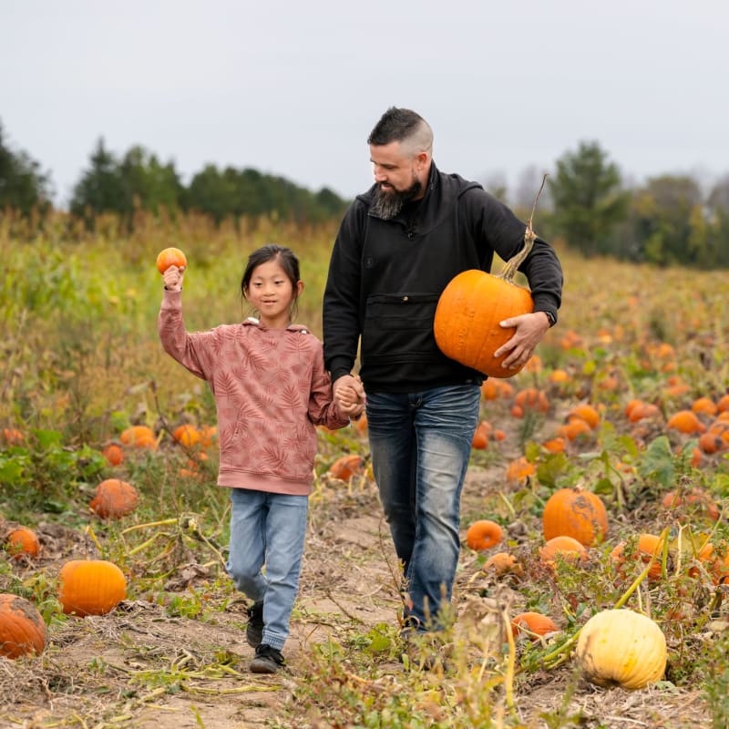 Vaudreuil-Soulanges - Pumpkin picking