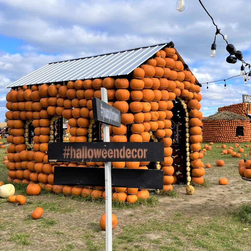 Vaudreuil-Soulanges - Halloween activities