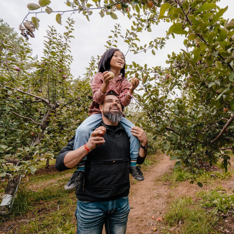 Vaudreuil-Soulanges - Apple picking