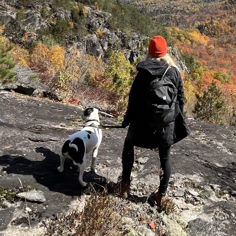 Fall is the perfect time to go hiking with your dog!