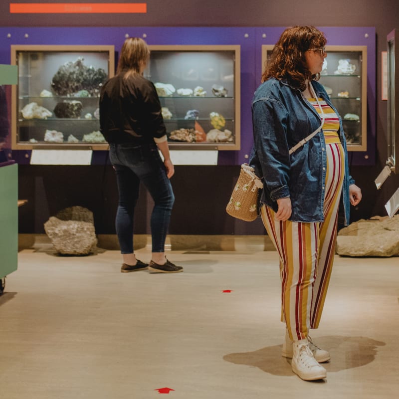 Exposition intérieure au Musée Minero
