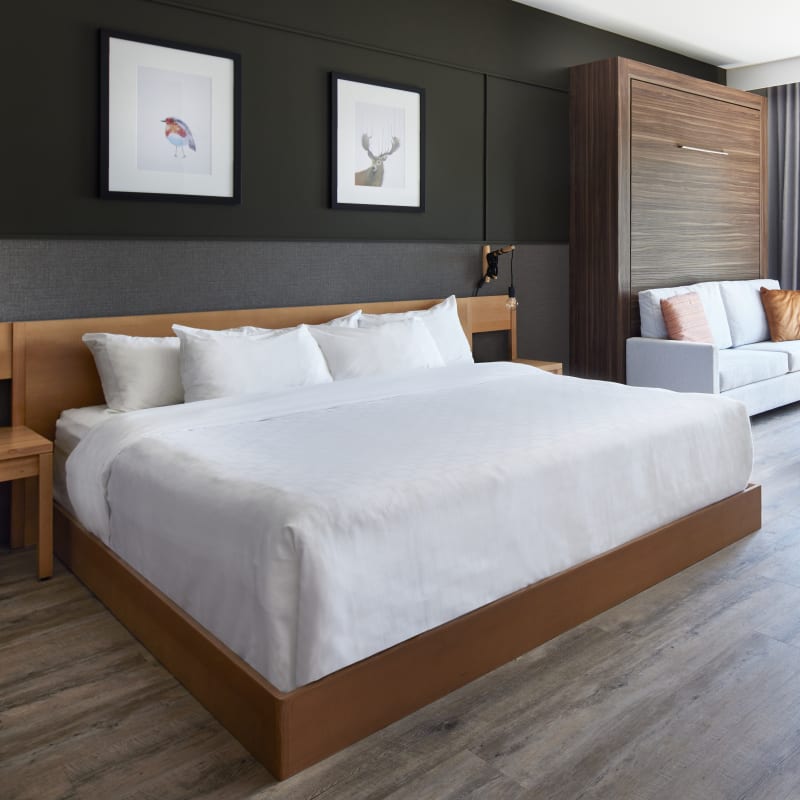 Espace 4 Saisons : room