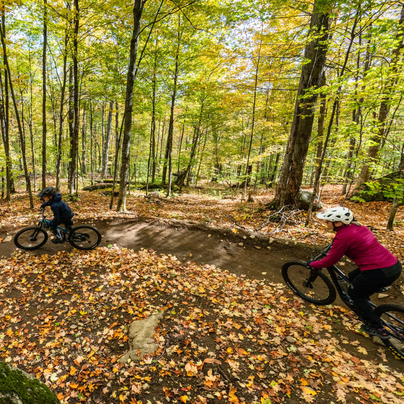 Sommet Saint-Sauveur Bike Park