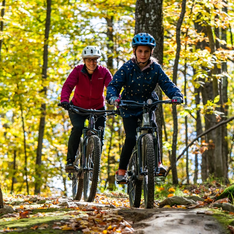Sommet Saint-Sauveur Bike Park
