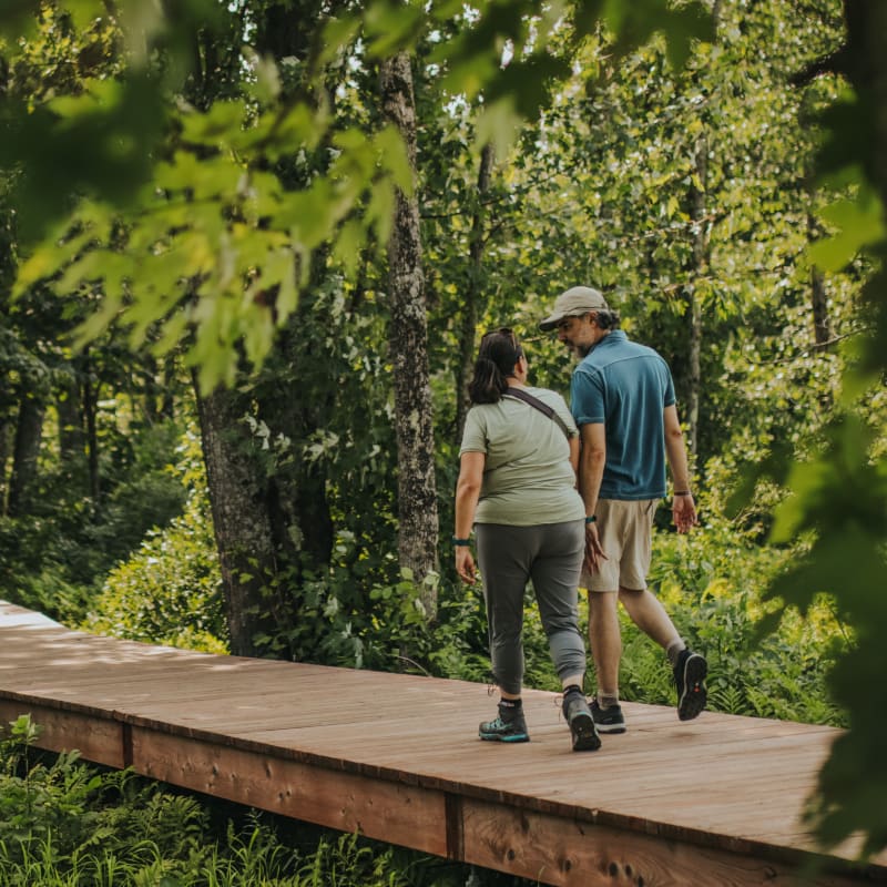 Parc national de Plaisance - A couple walking in the forest