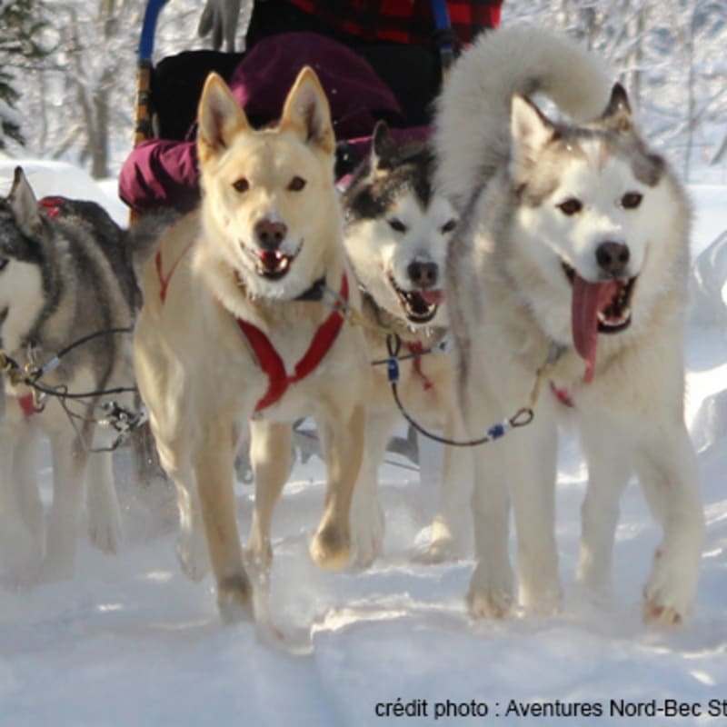 aventures_nord_bec_stoneham_1_h