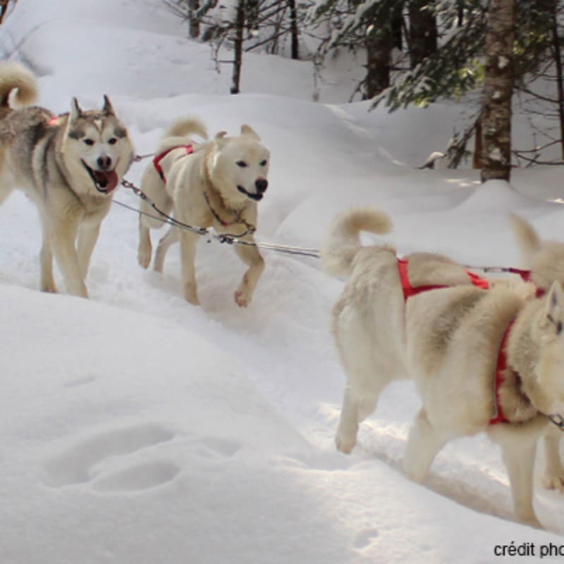 aventures_nord_bec_stoneham_2_h