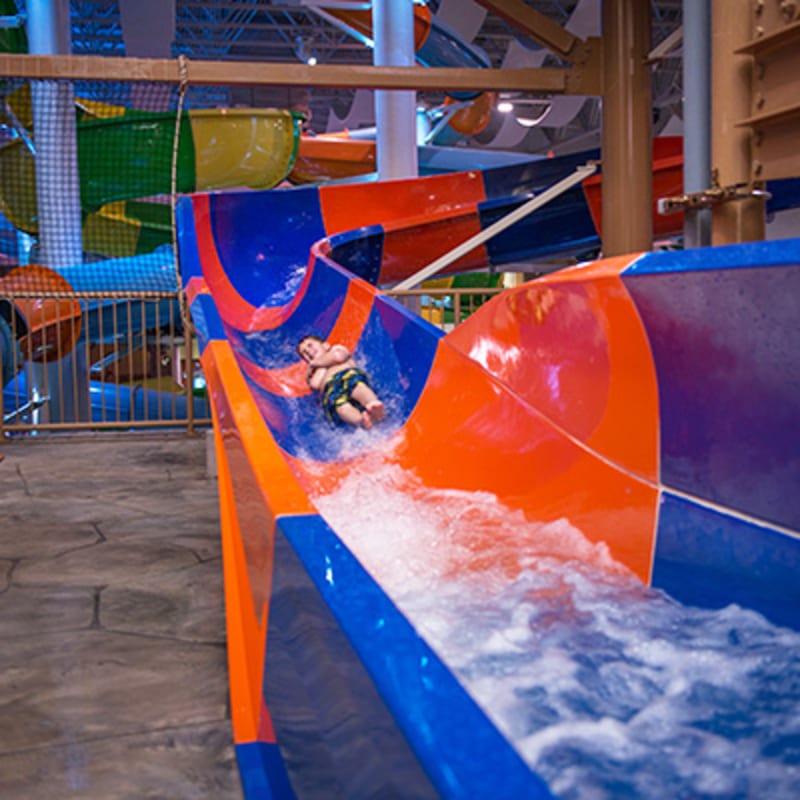 bora_parc_6