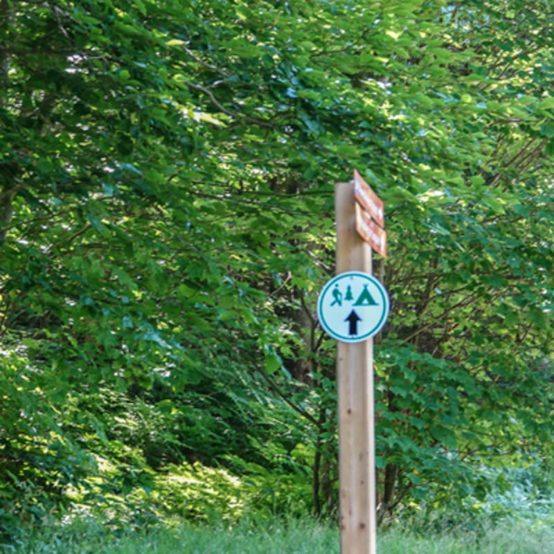 camping_au_sommet_10