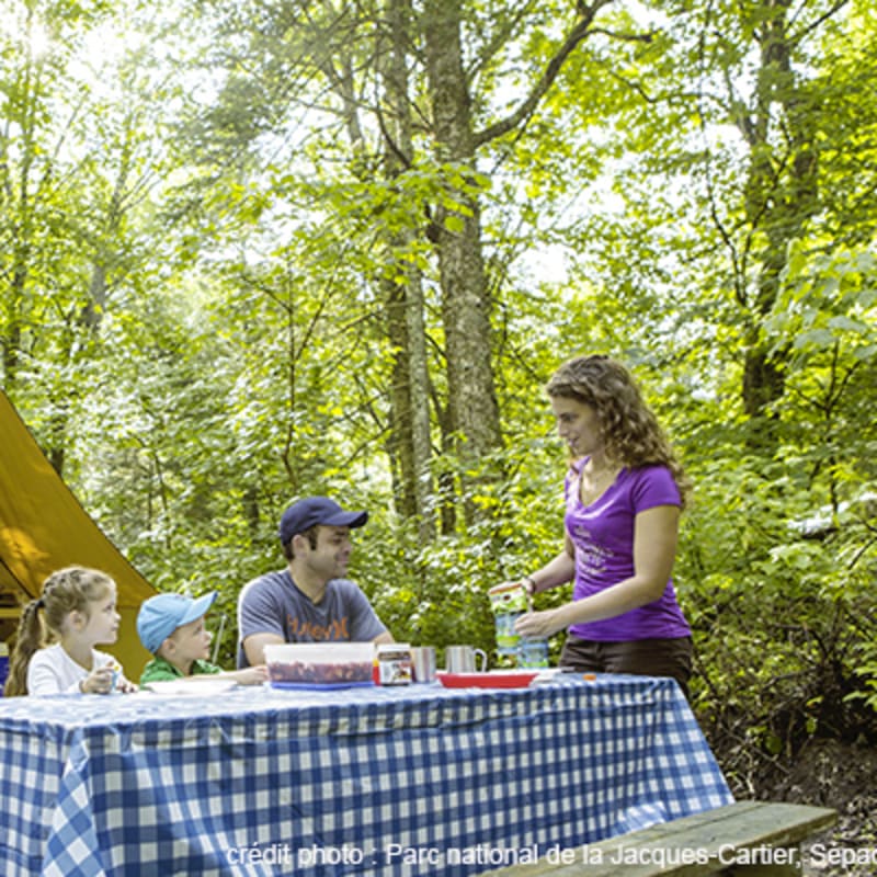camping_du_parc_national_de_la_jacques_cartier_2