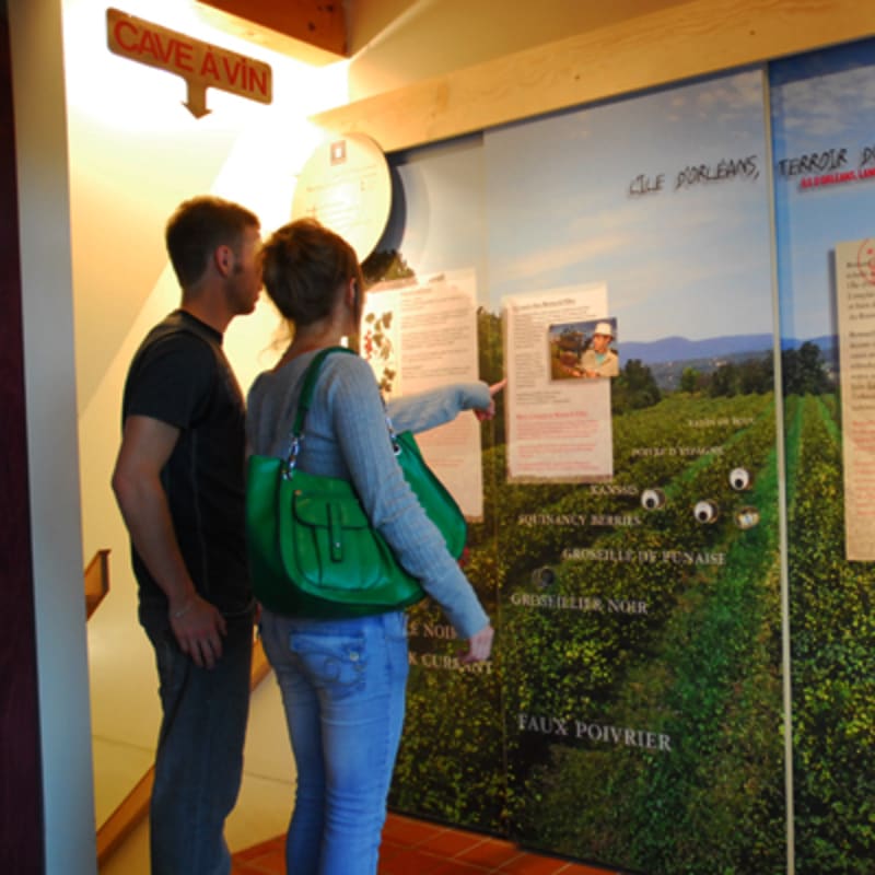 cassis_monna_et_filles___economusee_de_la_liquoristerie_8
