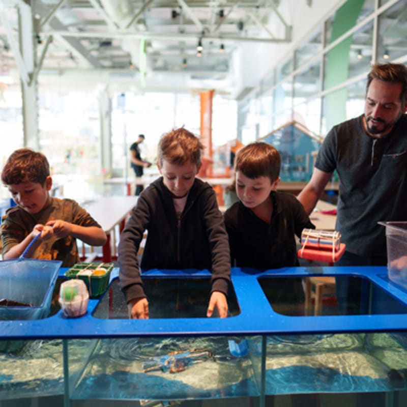 centre_des_sciences_de_montreal_5