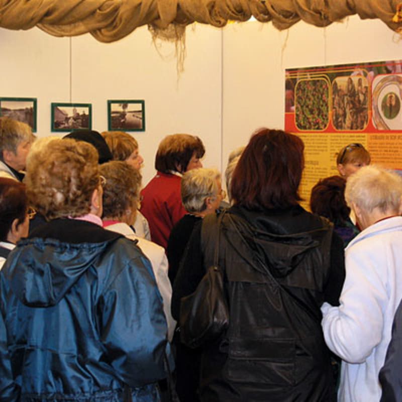 centre_dinterpretation_de_la_canneberge_12