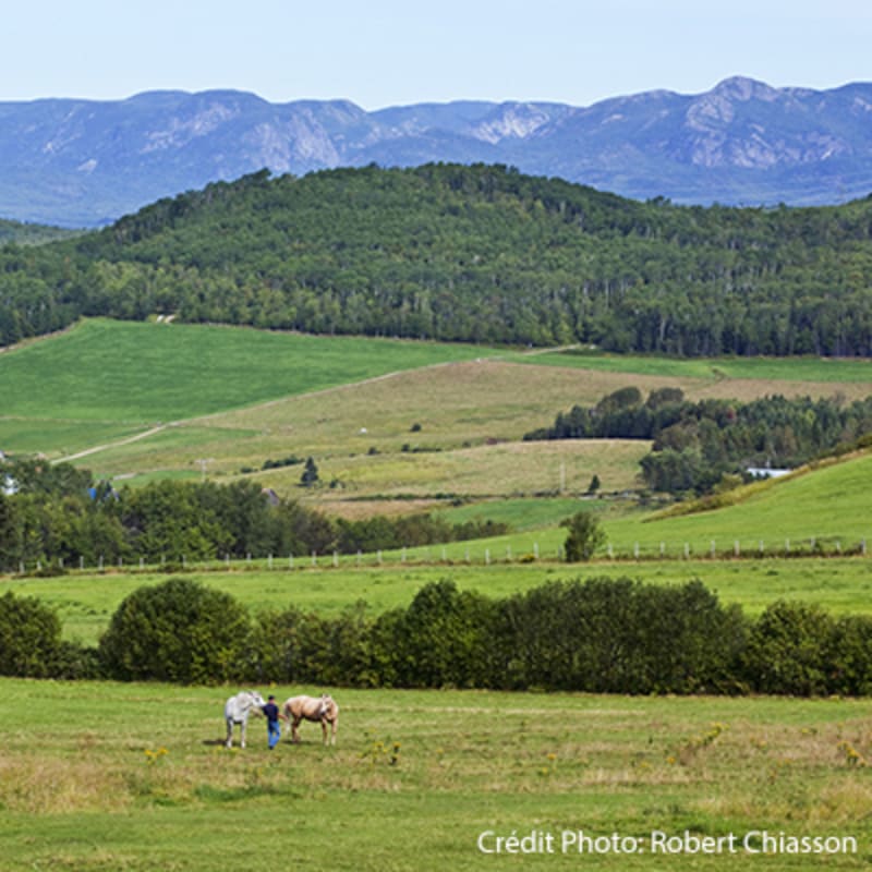 charlevoix_charme_moi___secteur_de_larriere_pays_13