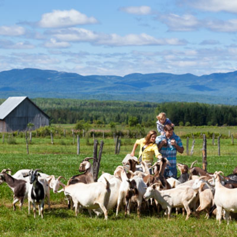 charlevoix_charme_moi___secteur_de_larriere_pays_4