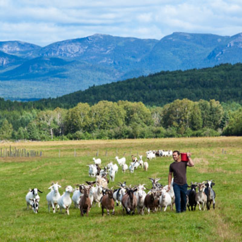 charlevoix_charme_moi___secteur_de_larriere_pays_5