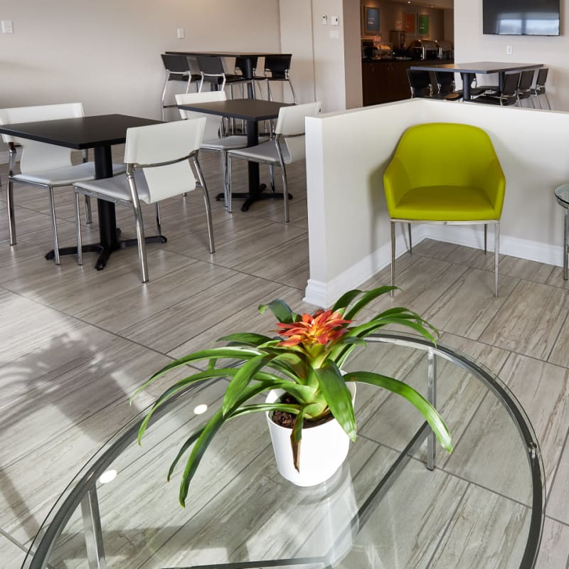 comfort_inn_rouyn_noranda_3