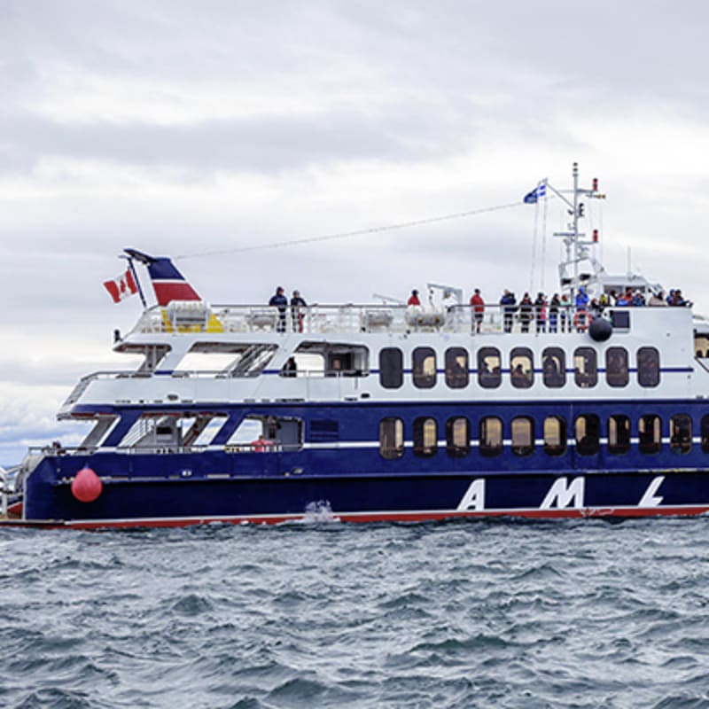 croisieres_aml_charlevoix_11