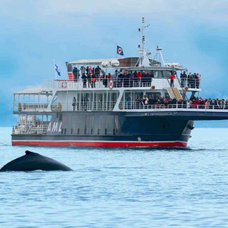 croisieres_aml_charlevoix_15